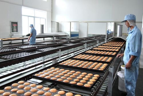 食品用輸送機(jī)