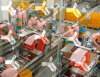 包裝生產(chǎn)線