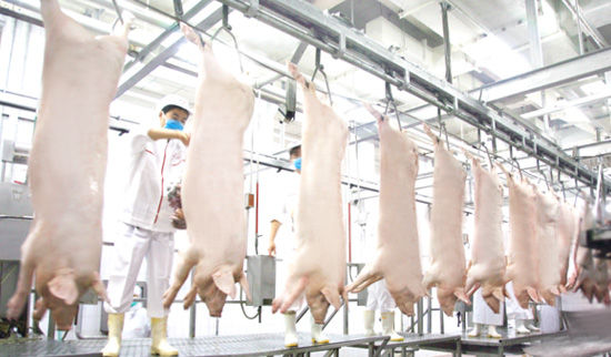 屠宰線(xiàn)網(wǎng)帶輸送設(shè)備后道工序的介紹