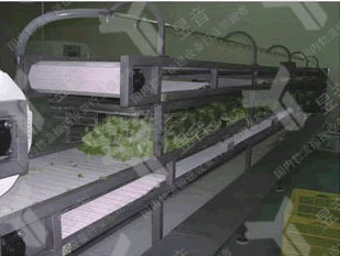 解析多層網(wǎng)帶輸送機快速進行物料翻轉